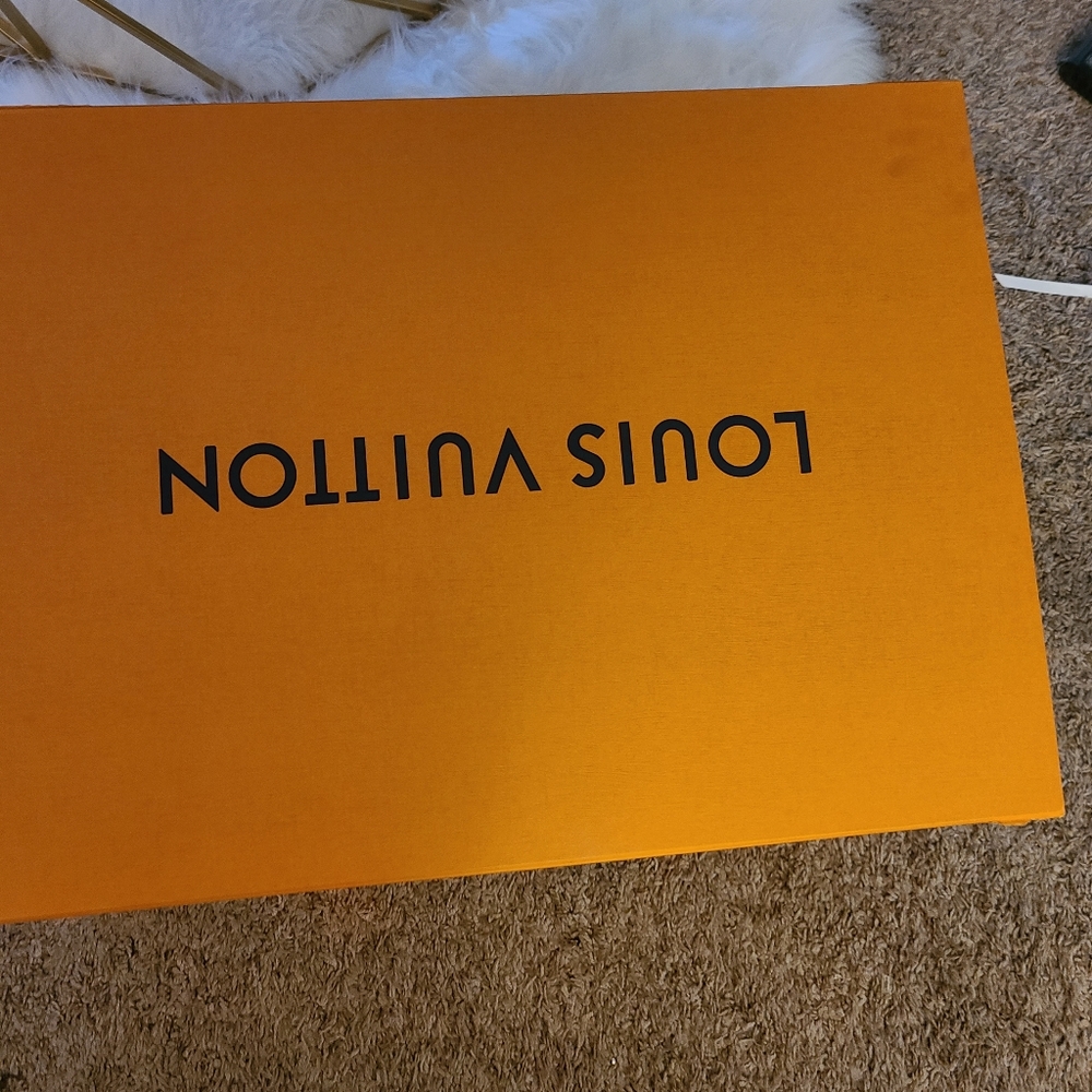 Louis vuitton luggage box